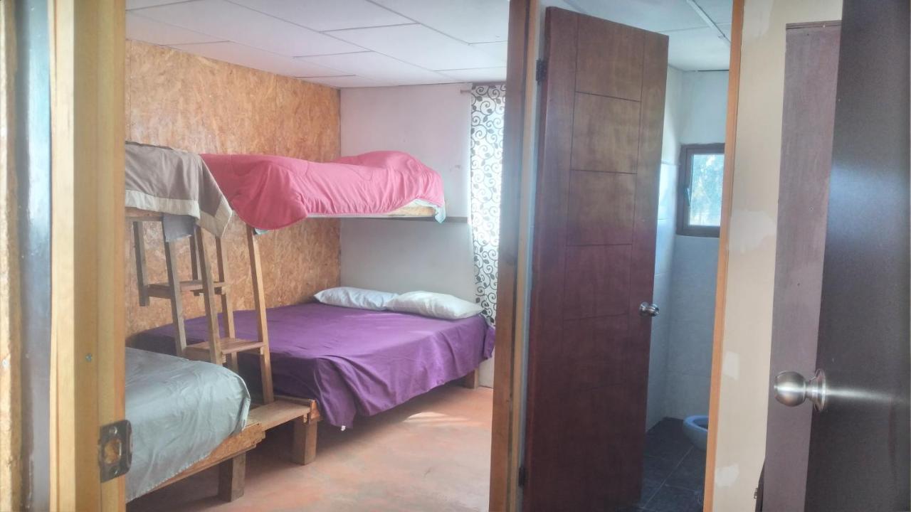 La Casa Del Nenufar 2*